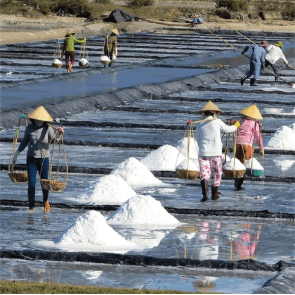 AGRICULTURE / FISHERY FILM, CONSTRUCTION FILM